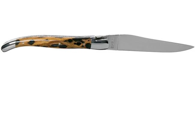 Laguiole En Aubrac 12cm Double Plates, Hand-filed Cactus, L0712CA51-FSI1 4 Laguiole En Aubrac 12cm Double Plates, Hand-filed Cactus, L0712CA51-FSI1 - Image 2