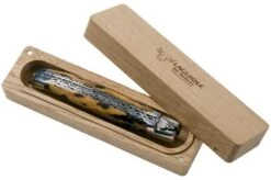 Laguiole En Aubrac 12cm Double Plates, Hand-filed Cactus, L0712CA51-FSI1 17 Laguiole En Aubrac 12cm Double Plates, Hand-filed Cactus, L0712CA51-FSI1 -Chic Knife Store AUL0712CA51 FSI1 08 laguiole en aubrac v202010