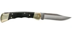 New Arrival -Chic Knife Store BUCK0110BRSFG B 02 buck v201907