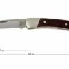 Buck 503 Prince 0503RWS-B, Rosewood -Chic Knife Store BUCK0503RWS B 01 buck 503 prince knife buck0503rws b 01