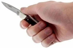 Buck 503 Prince 0503RWS-B, Rosewood -Chic Knife Store BUCK0503RWS B 05 buck 503 prince knife buck0503rws b 05