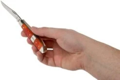 Case Mini Trapper Tequila Sunrise Bone, Standard Jig 14482, 6207 SS Pocket Knife -Chic Knife Store CE14482 05 case