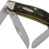 Case Sowbelly Jigged Buffalo Horn 65015, TBBH339 SS Pocket Knife