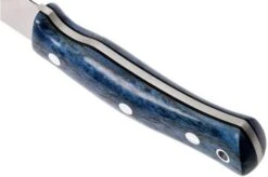 Casström No. 10 Swedish Forest Knife Blue Curly Birch, 14C28N Flat Grind -Chic Knife Store CM13119 04 casstrom cm13119 04