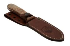 Condor Tactical P.A.S.S. Chute Knife, Fixed Knife -Chic Knife Store CTK1827 105 4C 06 condor