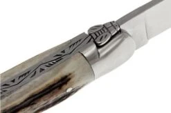 Forge De Laguiole 11cm Deer Horn 1211INCFBRI 12 Forge De Laguiole 11cm Deer Horn 1211INCFBRI -Chic Knife Store LA1211INCFBRI 04 forge de laguiole la1211incfbri 04