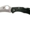 Spyderco Tasman Salt 2 C106PBK2 Plain Edge Pocket Knife, Black