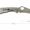 Spyderco Delica 4 SS, C11PS -Chic Knife Store SPC11PS 01 spyderco delica 4 rvs spc11ps d1