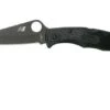 Spyderco Pacific Salt 2 Black C91PBBK2 Pocket Knife