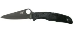Spyderco Pacific Salt 2 Black C91PBBK2 Pocket Knife